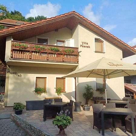 Villa Psenek Banka Экстерьер фото