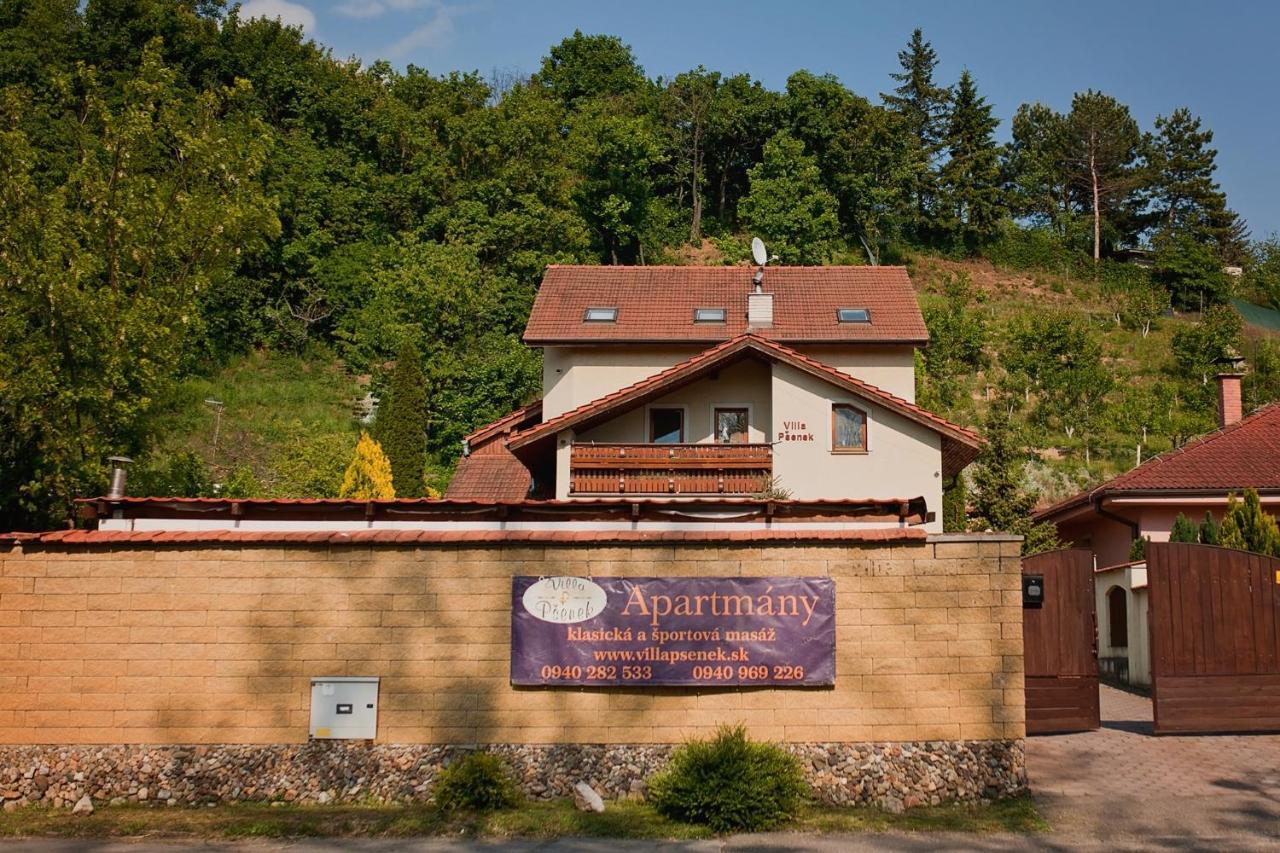 Villa Psenek Banka Экстерьер фото